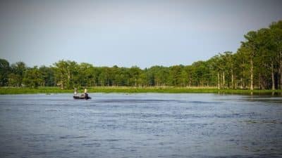 Chickahominy River