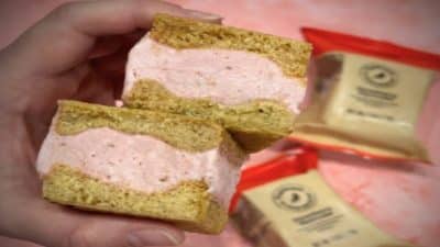 nightingale ice cream sandwiches