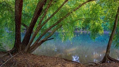 rivanna river riverview park charlottesville river burch