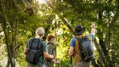 seniors elderly hiking forest trail bird watching