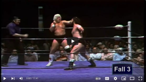 dusty rhodes bruiser brody