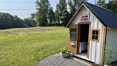 Farm Stand at Eventide, Route 151, Afton