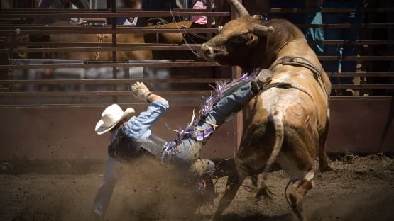 rodeo