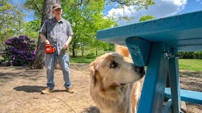 Scott Hurst of Salem with Fozzie dog scent training