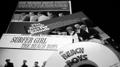 brian wilson the beach boys