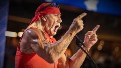 hulk hogan