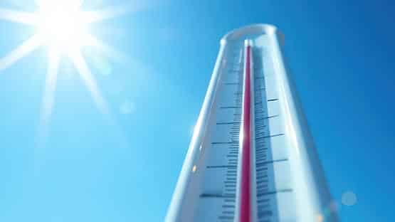 summer heat overheat temperature weather