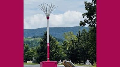 wboro glow up tmobile solar