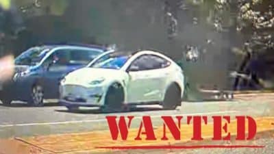 white tesla lpd