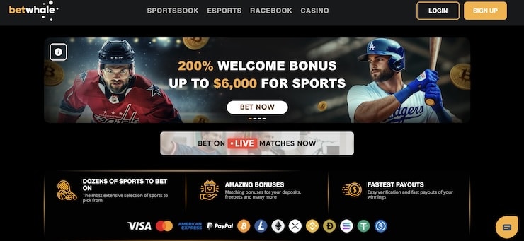 A leading online sportsbook when it ocmes to college football betting, BetWhale offers the biggest betting bonus all season long. New users can claim up to $6,000 instantly by signing up today