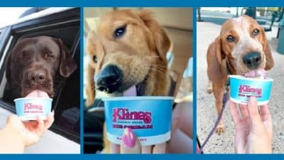 klines dairy bar dog days of summer