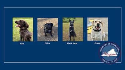 virginia department of corrections k9 dogs