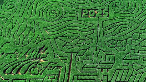 liberty mills corn maze orange county