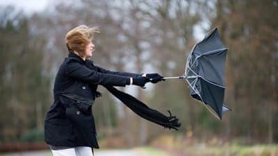 wind windy umbrella weather