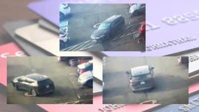 albemarle credit card theft dec2025