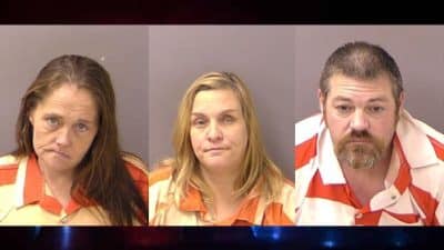 felony lane gang virginia harrisonburg