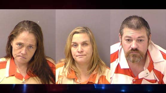 felony lane gang virginia harrisonburg