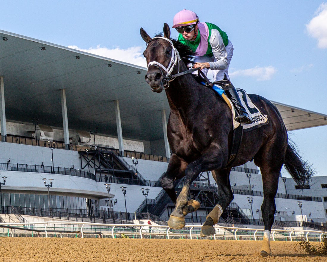 5 Best Betting Apps For Pegasus World Cup 2026