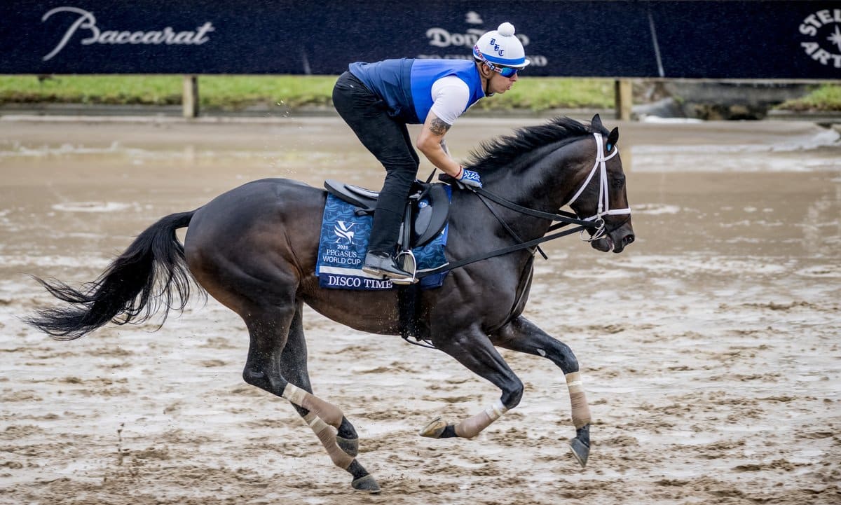 How To Bet On Pegasus World Cup 2026 in Texas