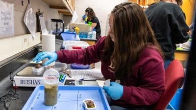 bridgewater college wildlife center