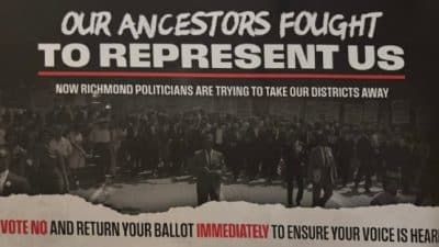 referendum mailer