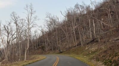 blue ridge parkway