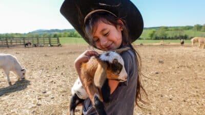 miniatures on the market