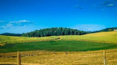 mole hill rockingham county