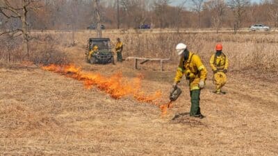 prescribed fire