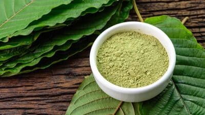 kratom leaves powder