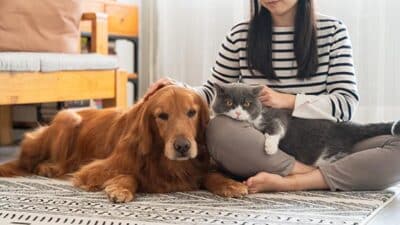 pet insurance dog cat with owner
