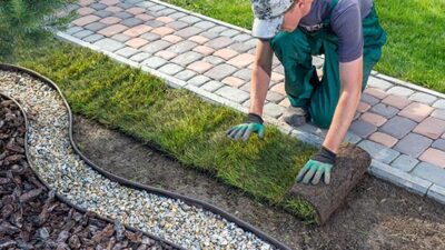 lawn turf grass installation