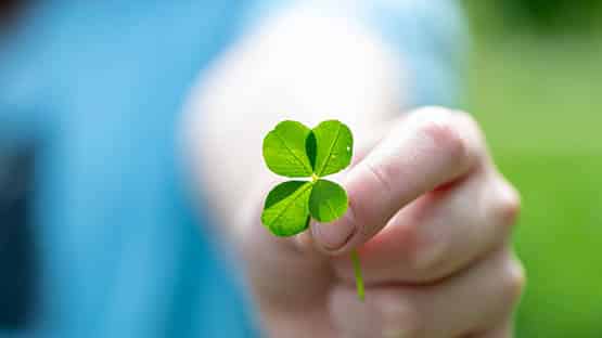 luck lucky four leaf clover