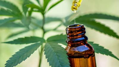CBD oil edible