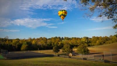 darden towe park