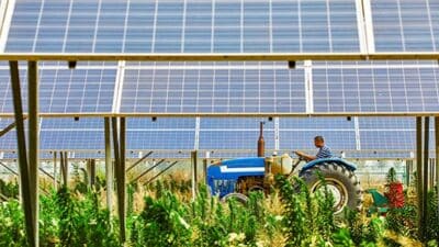 farmer farm homesteader homestead off-grid solar panel technology