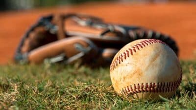 franchise pro sports baseball glove field