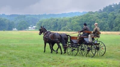 Old Order Mennonite